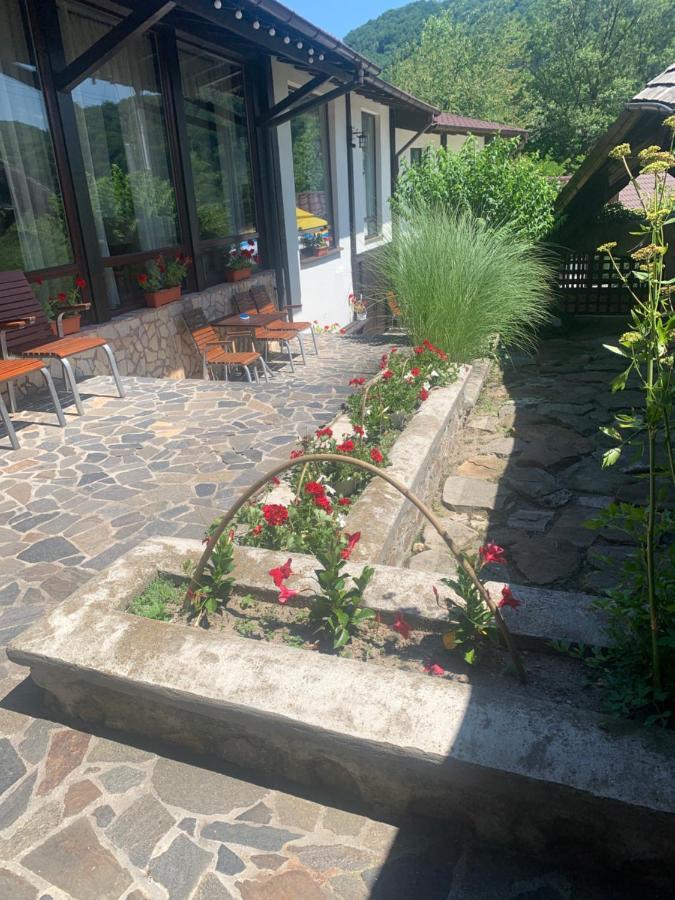 No Comment Rustic Curtea de Argeş Exterior foto